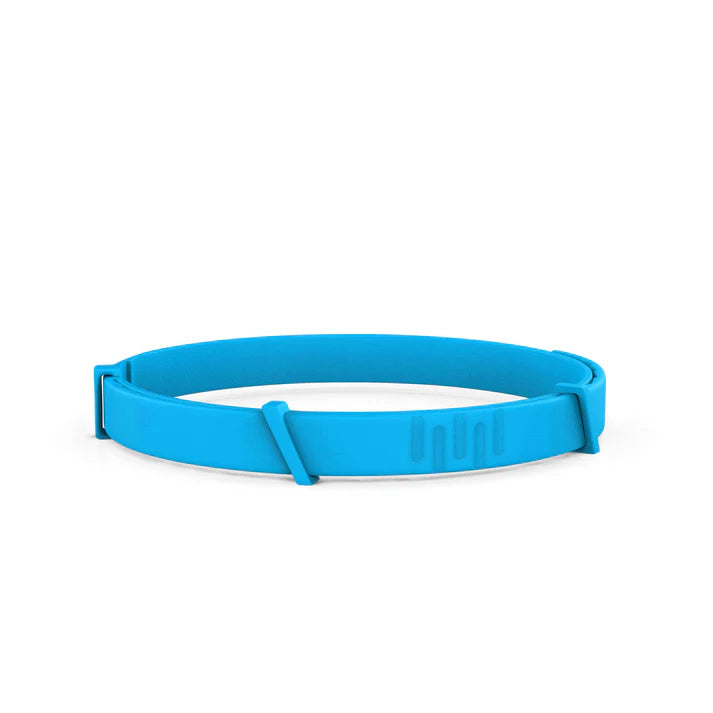 Laisse Pour Chien