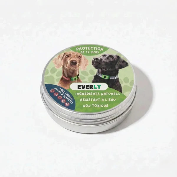 Pendentif Everly™ - 12 mois de protection